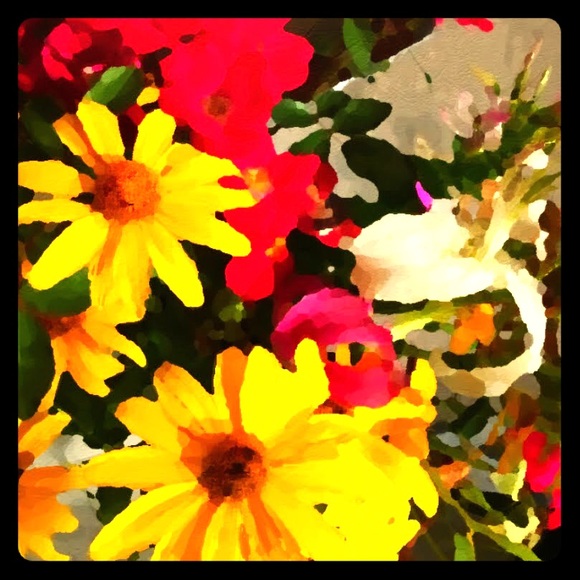 Meet the Posher - Picture 2 of 3